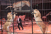 Martin Lacey jr. und die große Löwenschau (Fotzo: Martin Schmitz)
